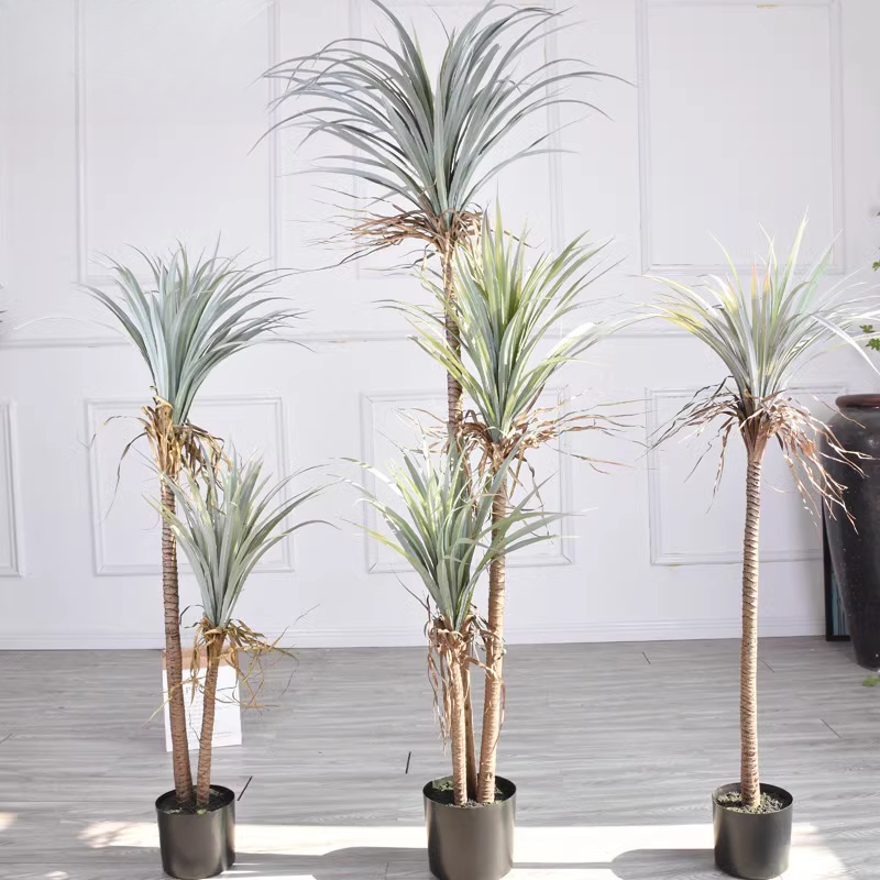Кровь дракона Юкка Искусственн – обзор и цена Dracaena Marginata
