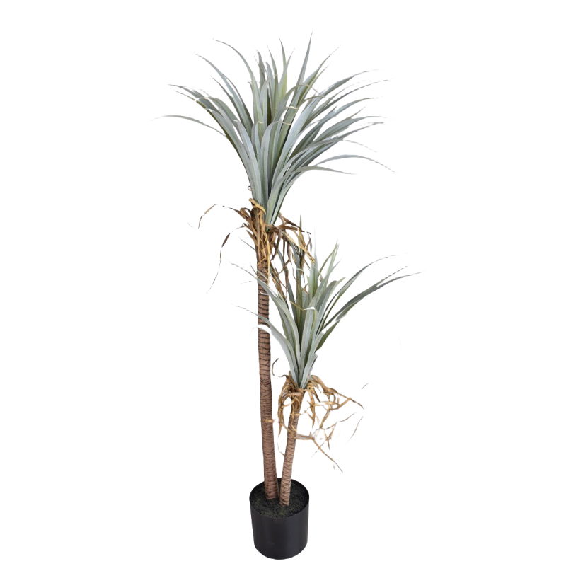 Кровь дракона Юкка Искусственн – обзор и цена Dracaena Marginata
