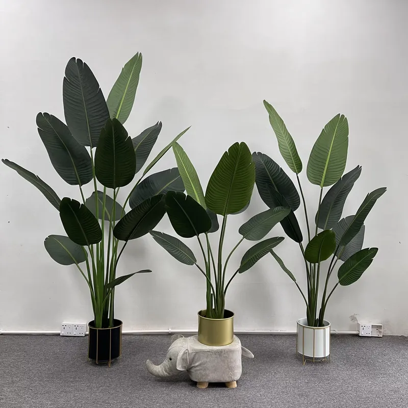 Гиперреалистичное пышное искус – обзор и цена Bird Paradise Strelitzia