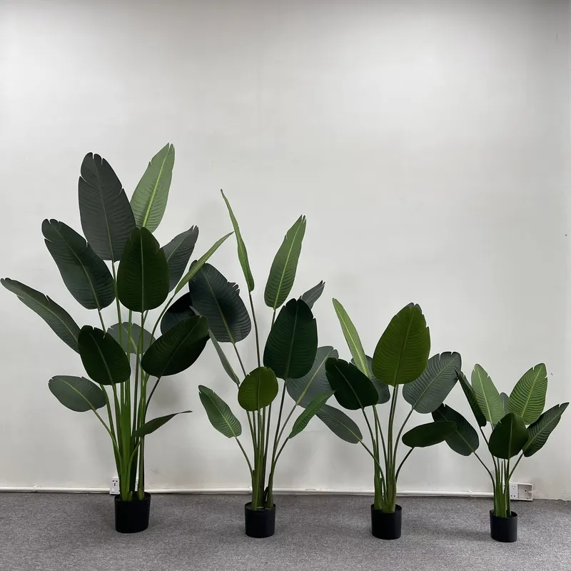 Гиперреалистичное пышное искус – обзор и цена Bird Paradise Strelitzia