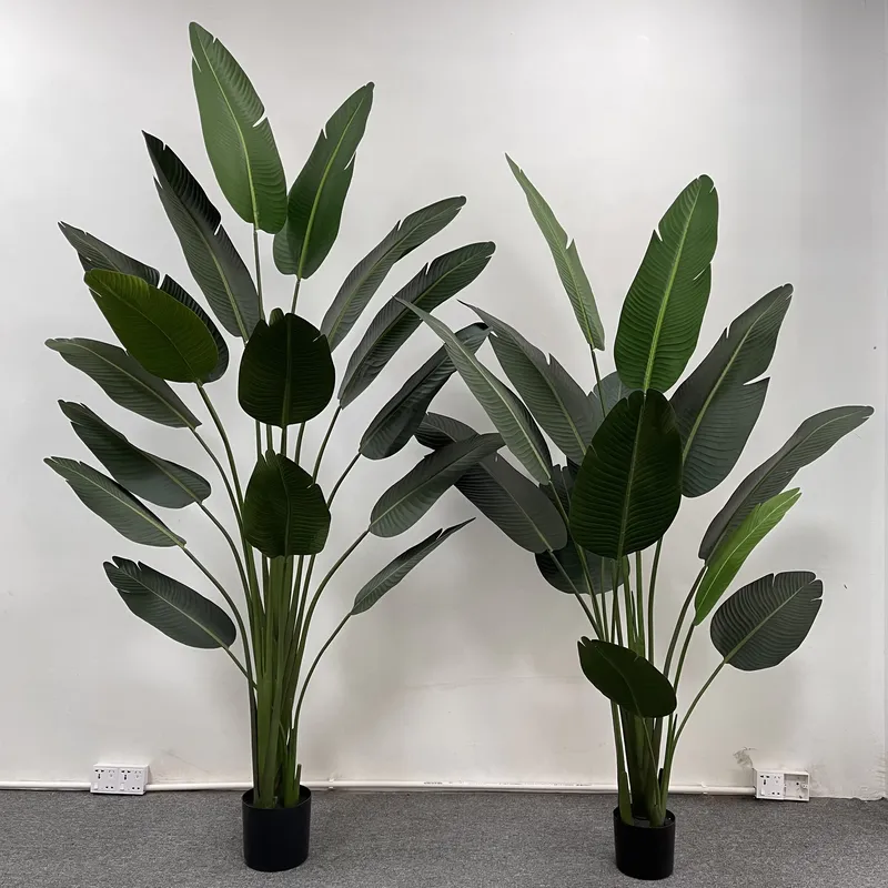 Гиперреалистичное пышное искус – обзор и цена Bird Paradise Strelitzia