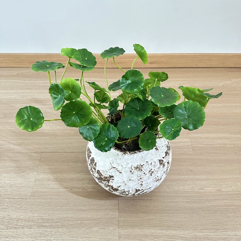 2 шт. Искусственные листья пил – обзор и цена Pilea Peperomioides