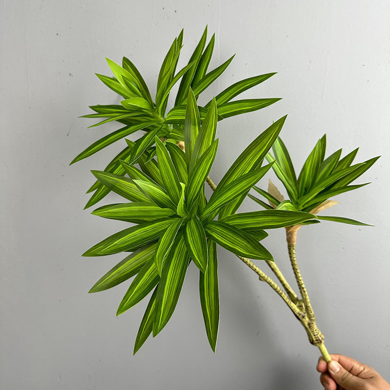 Имитация зеленых растений, 3 г – обзор и цена Dracaena Marginata