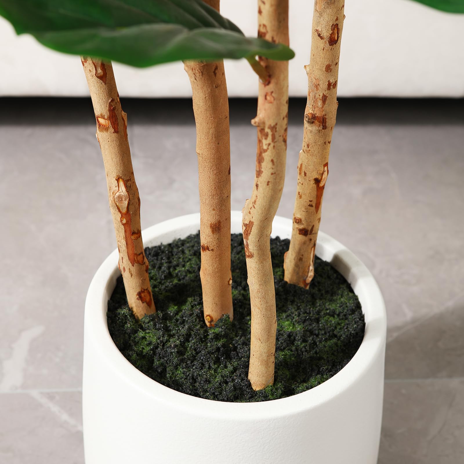 Искусственное дерево фикуса с  – обзор и цена Ficus Lyrata Tree